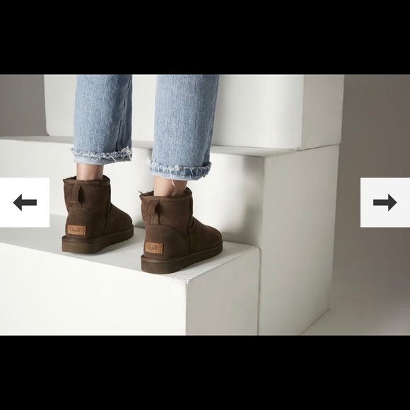 ugg mini ii chocolate